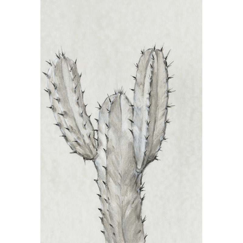 Étude de cactus II, H 30 po x l 20 po
