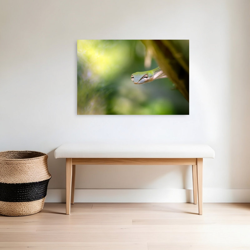 Sleepy Green Snake Abstract Snake Forest Landscape Wall Art Print 1 Piece Wrapped Canvas Wall Art, 60.96cm H x 91.44cm W