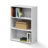 Hinshaw Bookcase-2135484387