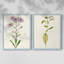Mauve Garden Flowers III - reproduction encadrée de qualité supérieure - prête à être accrochée - aucun clou requis - aucun clou requis-432901065-432901070
