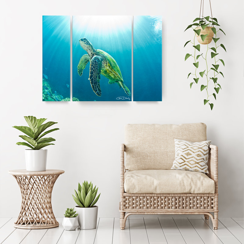 3 - Piece Canvas Art