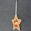 Carley Have a Holly Jolly Christmas Star Shaped Ceramic Ornament