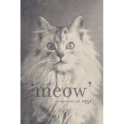 « célèbre quotes (chat) », impression sur toile tendue