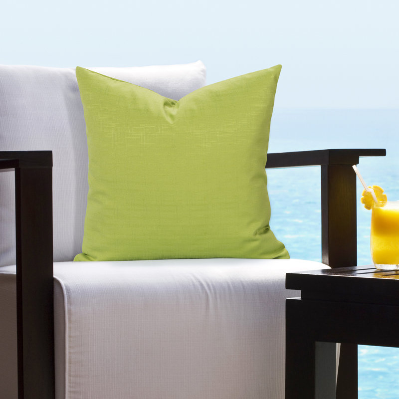 Outdoor Throw Pillow, 20" H x 20" W x 6" D, Citrus