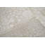Oriental Area Rug in Beige