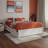 Lamariah Solid Wood Platform Storage Bed-911854960-911854967