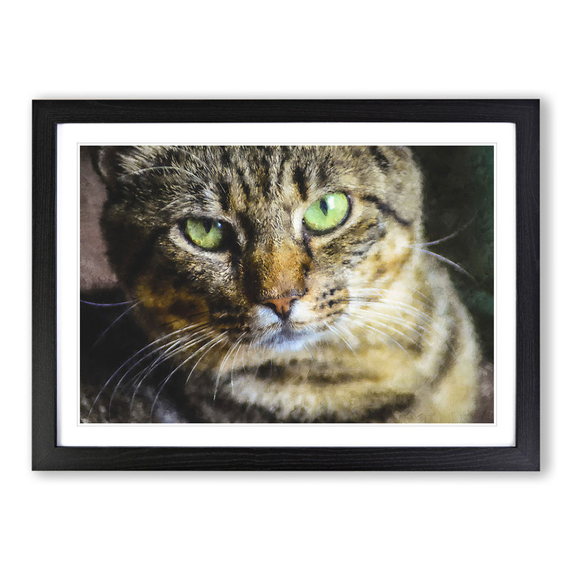 Portrait of a Cat Vol.6 - Framed Print, 27cm H x 36cm W x 2cm D, Black Framed