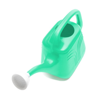 Classic 2 Gallon Plastic Indoor/Outdoor Watering Can