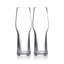 Craft Brew Pilsner Glass 21.5floz