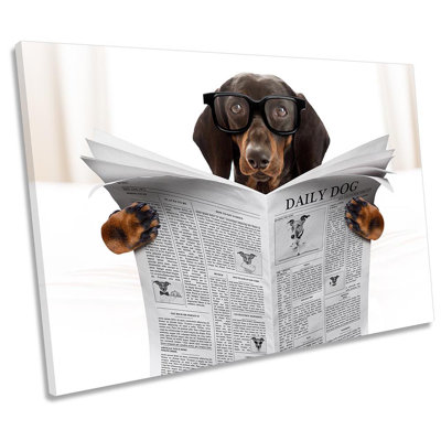 Dachshund Sausage Dog Newspaper - Wrapped Canvas Print