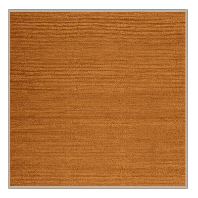 Machine Washable Solid Brown Area Rug