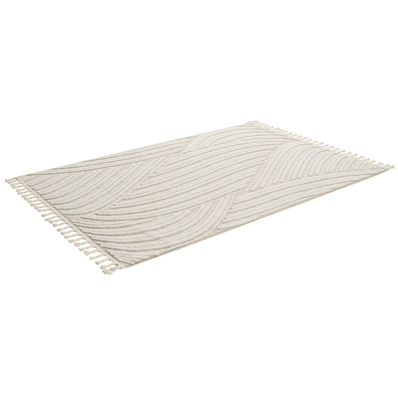 Tapis à poils longs Ruprecht, Rectangle 7 pi 7 po x 10 pi