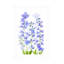Jacky Parker  Delphinium Canvas Art-285817850