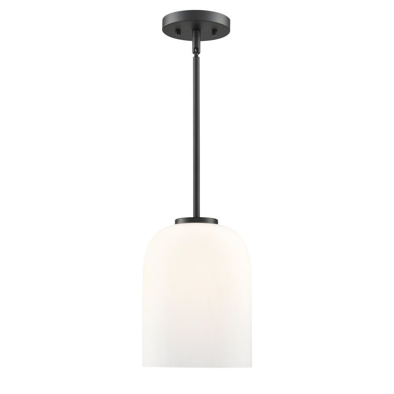 Luminaire suspendu 1 lumière Laphia, Noir mat, H 10,75 po x l 8 po x P 8 po