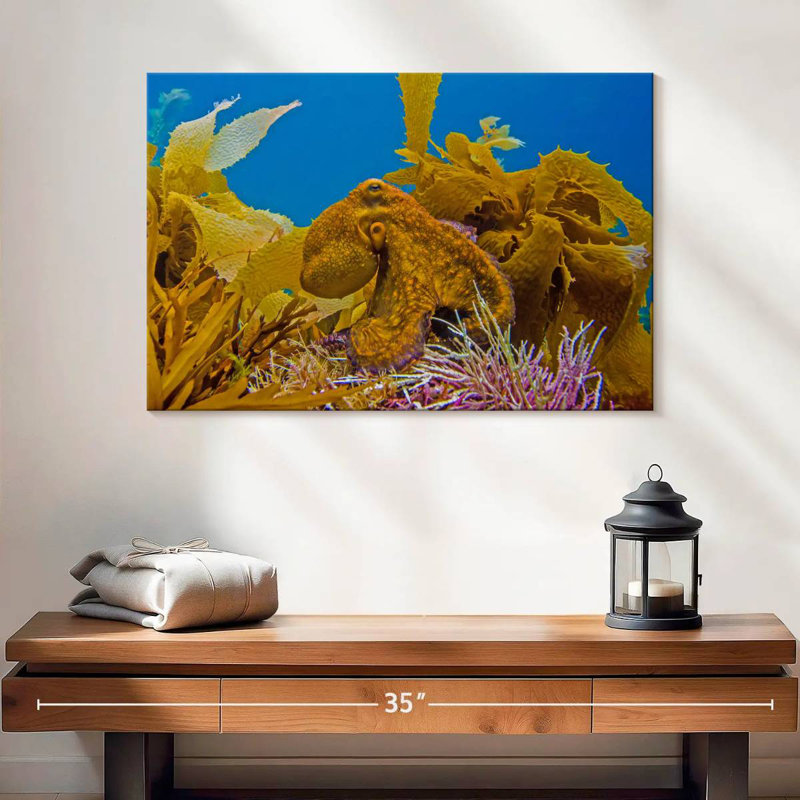 Crowle Reef Octopus And