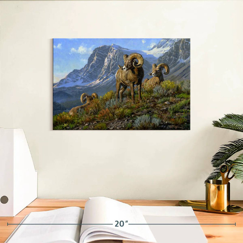 Rams, 8" H x 12" W