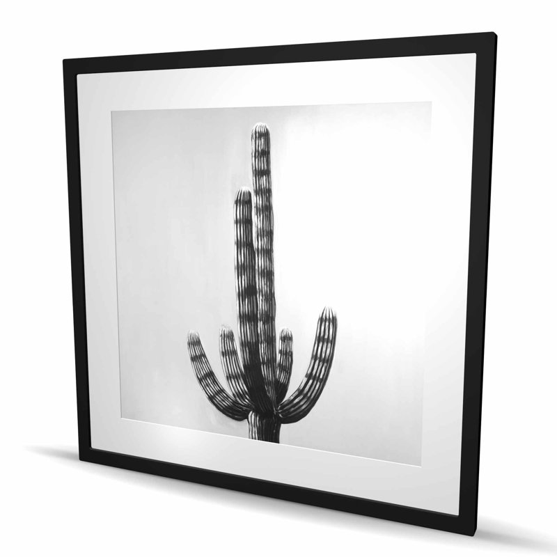 Cactus - imprimé botanique mat noir encadré pour la décoration intérieure, Noir