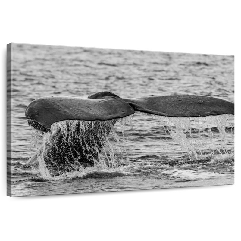 Crowle Alaskan Humpback Whale, 8" H x 12" W