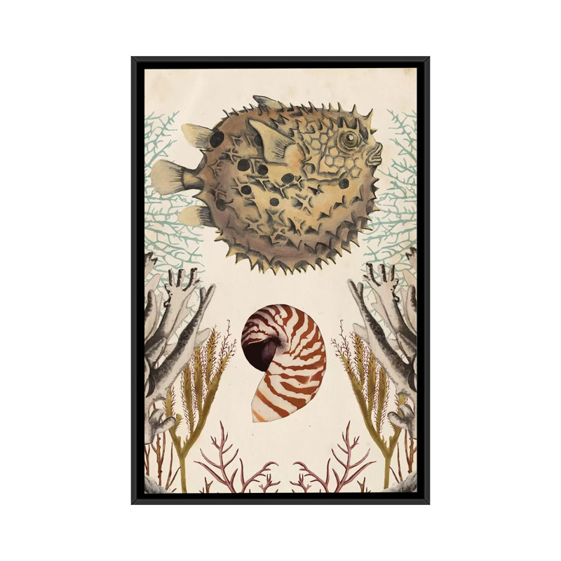«Antiquarian Menagerie: Puffer Fish», reproduction d'impression sur toile, H 26 po x l 18 po x P 1,5 po, Toile encadrée noire