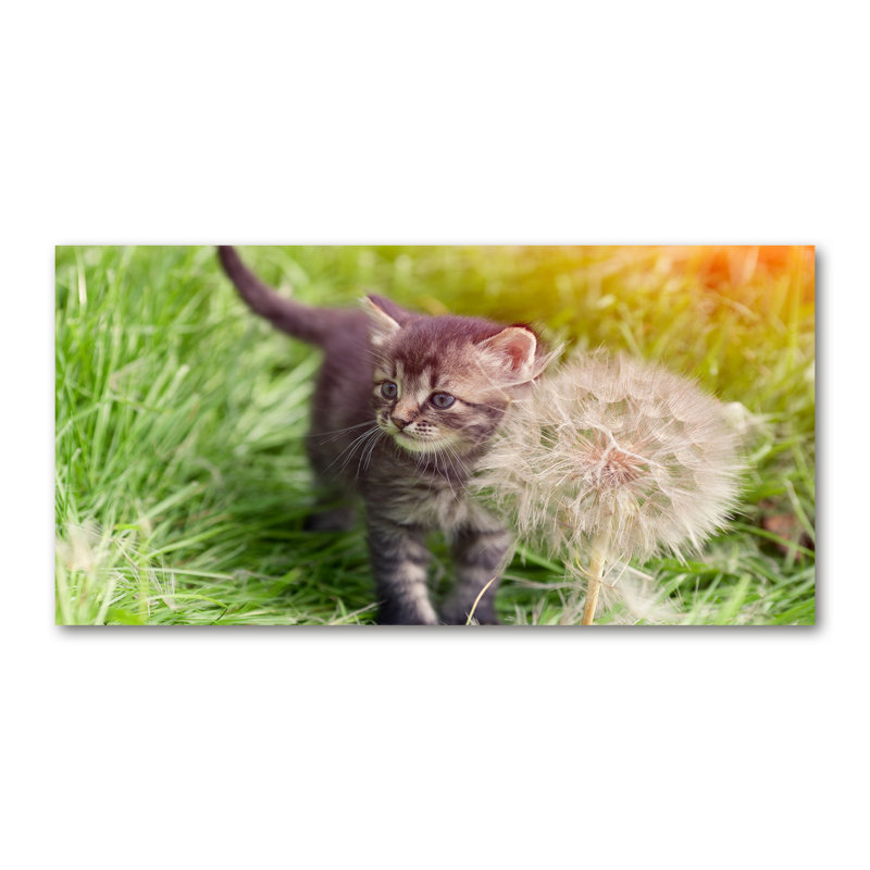 Kitten With A Blowpipe - Wrapped Canvas Print