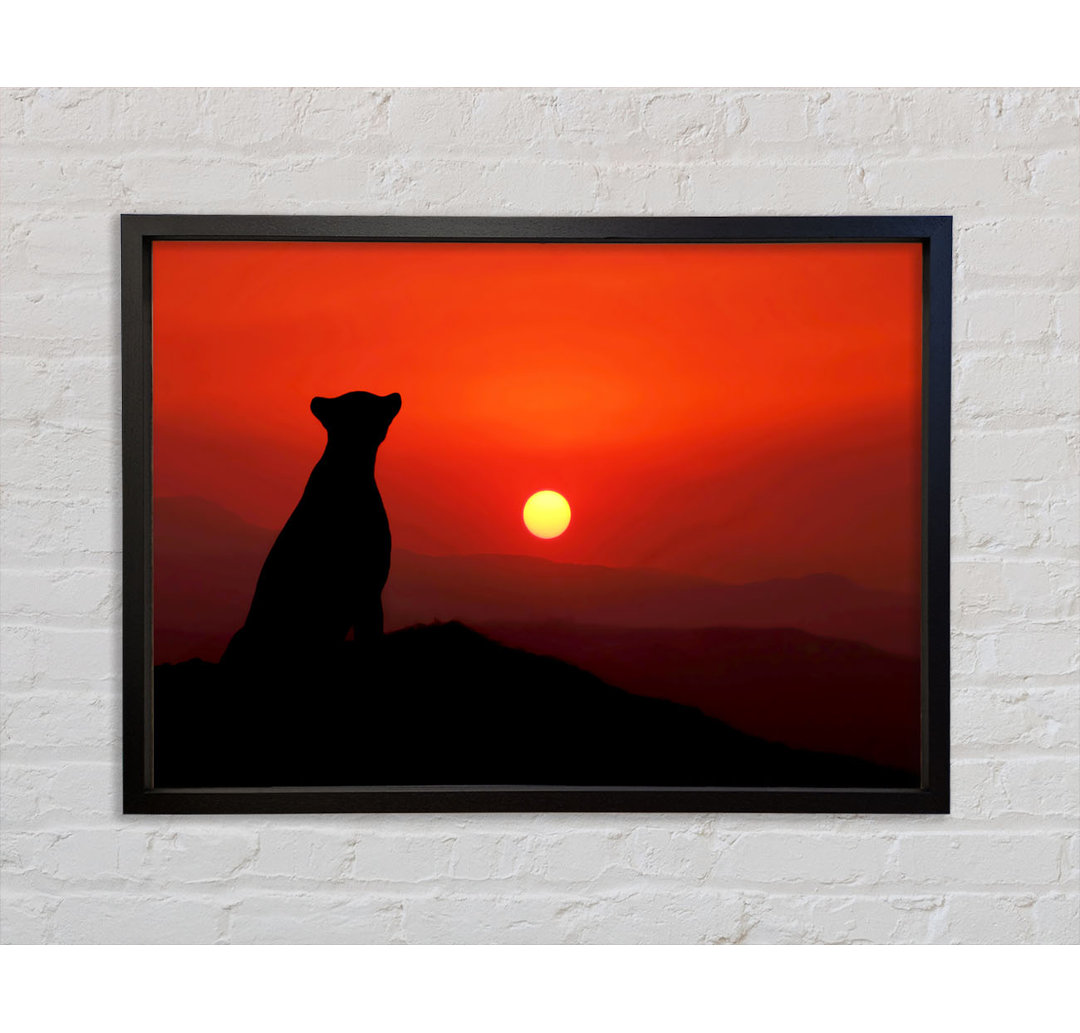 Panther Sunset - Bilderrahmen Kunstdrucke auf Leinwand