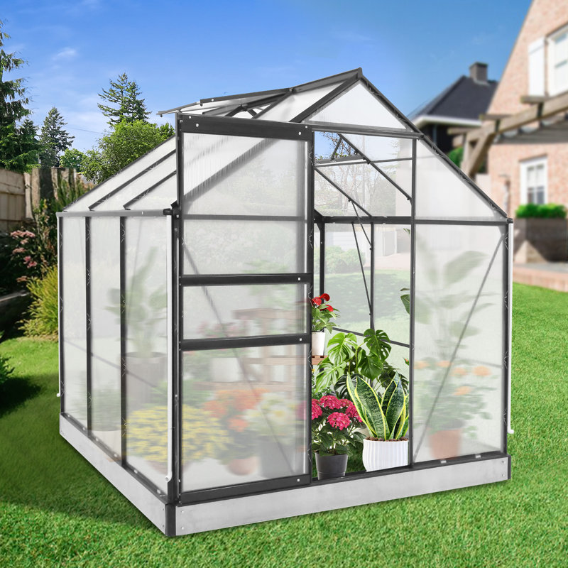Serres 6 x 6 pi pour l'extérieur, serre en polycarbonate avec panneaux en PC, serres pour l'extérieur pour la cour, le jardin et les loisirs