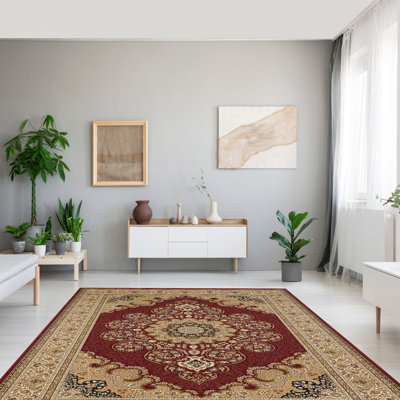 Tapis oriental intérieur / extérieur rouge / brun Turkuaz