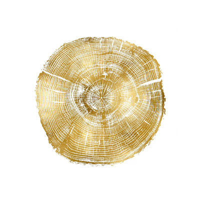 Timber Gold IV by Danielle Carson - Wrapped Canvas Print