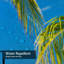 Paysage tropical avec des crochets et 12 crochets-2130648502