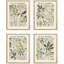 Feuilles vertes, impression sur papier 4 pièces-97782657-97782658