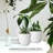 Plant Pots Indoor With Drainage - 7/6.6/6/5.3/4.8 Inches Flower Pots For Indoor Planter - 5 Pack Plastic Planters - Ideal For Stocking Stuffers Or Home Christmas Decorations-1413936378
