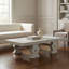 Suzu Coffee Table