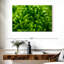 Harnek Lime Heart I-108876083