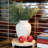 SEASONAL GREENERY STEM S/6 CEDAR 20IN
