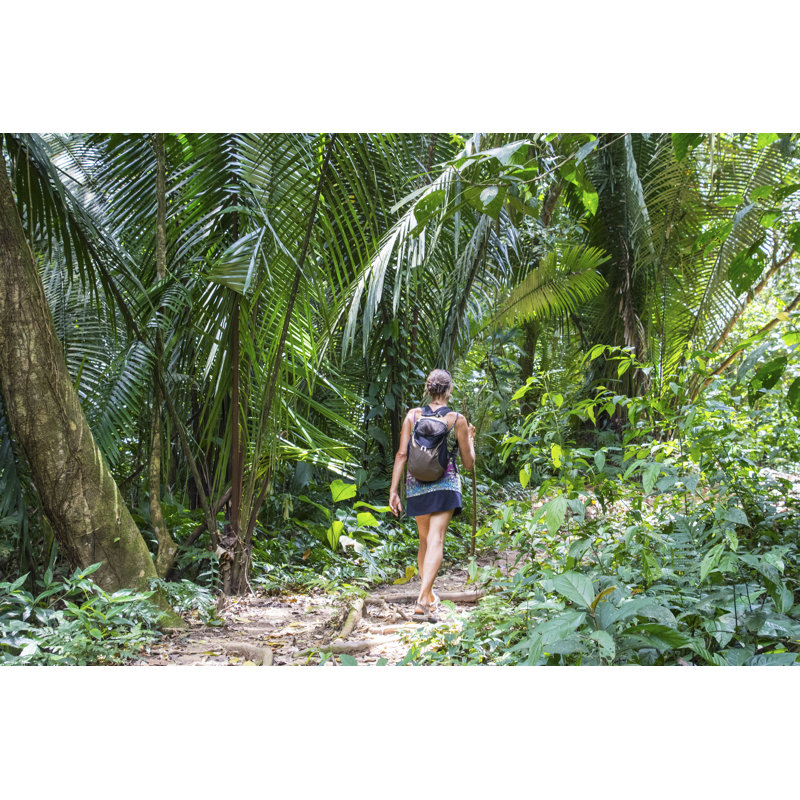 Bocawina Falls Hike by CampPhoto - No Frame Art Prints on Canvas, 20cm H x 30cm W