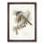 Walnut Framed selected