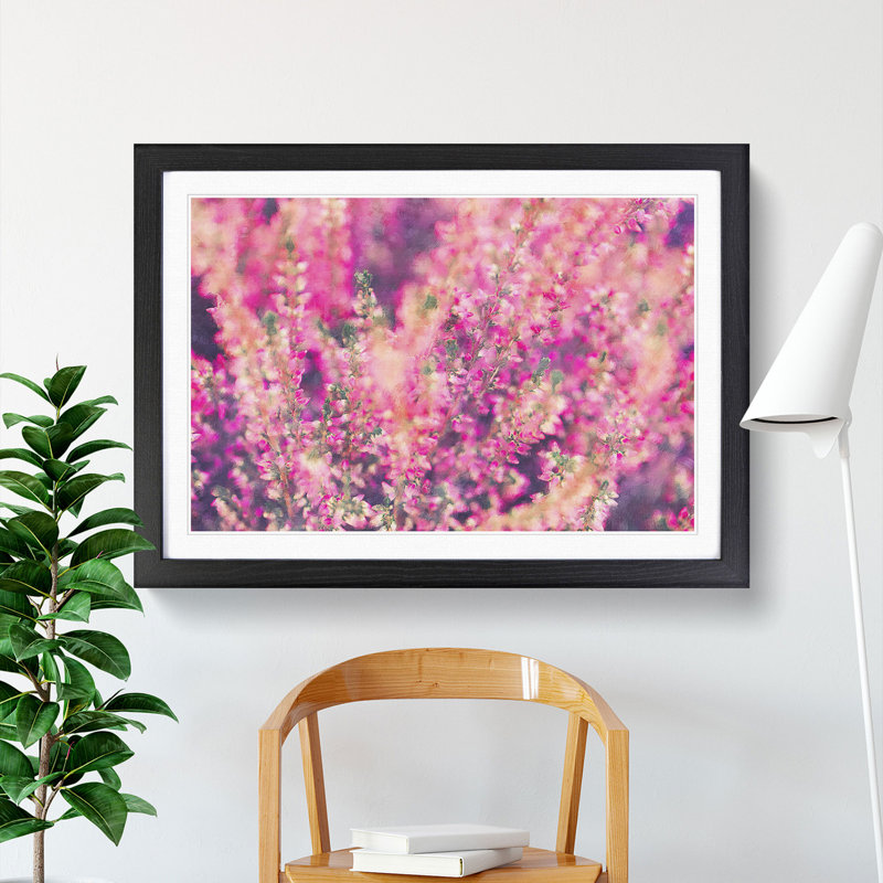 Pink Heather - Framed Print, 27cm H x 36cm W x 2cm D, Black Framed