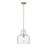 Wrought Studio™ Maitreya 1 Light Pendant Light with Water Glass Shade-165774460