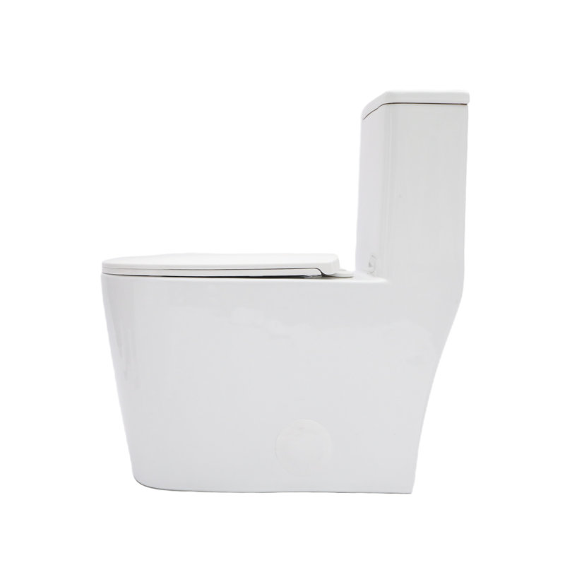 Toilette de salle de bain avec cuvette brute de 12 po, céramique blanche, chasse double 1,1 / 1,6, jet siphon, carte 800G, siège à fermeture en douceur, toilette hygiénique en céramique, chasse d'eau silencieuse et efficace