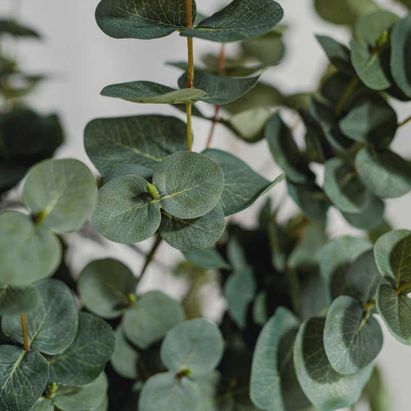 Branche d'eucalyptus artificiel Audet (1 tige), Vert