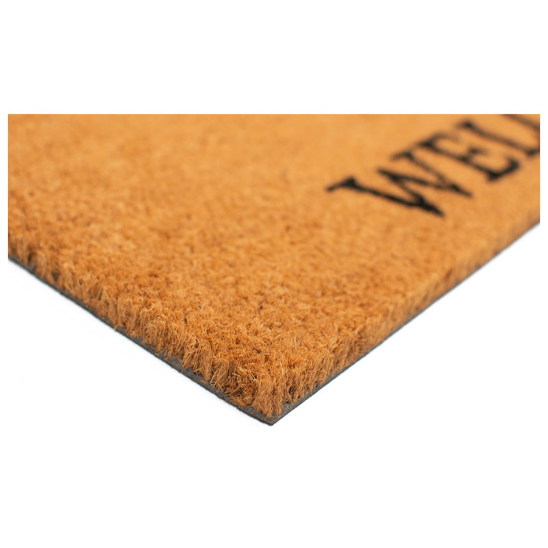 Tapis d'entrée antidérapant Gilpatrick, 2 pi x 3 pi