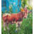 Farm Garden Stake - Cow