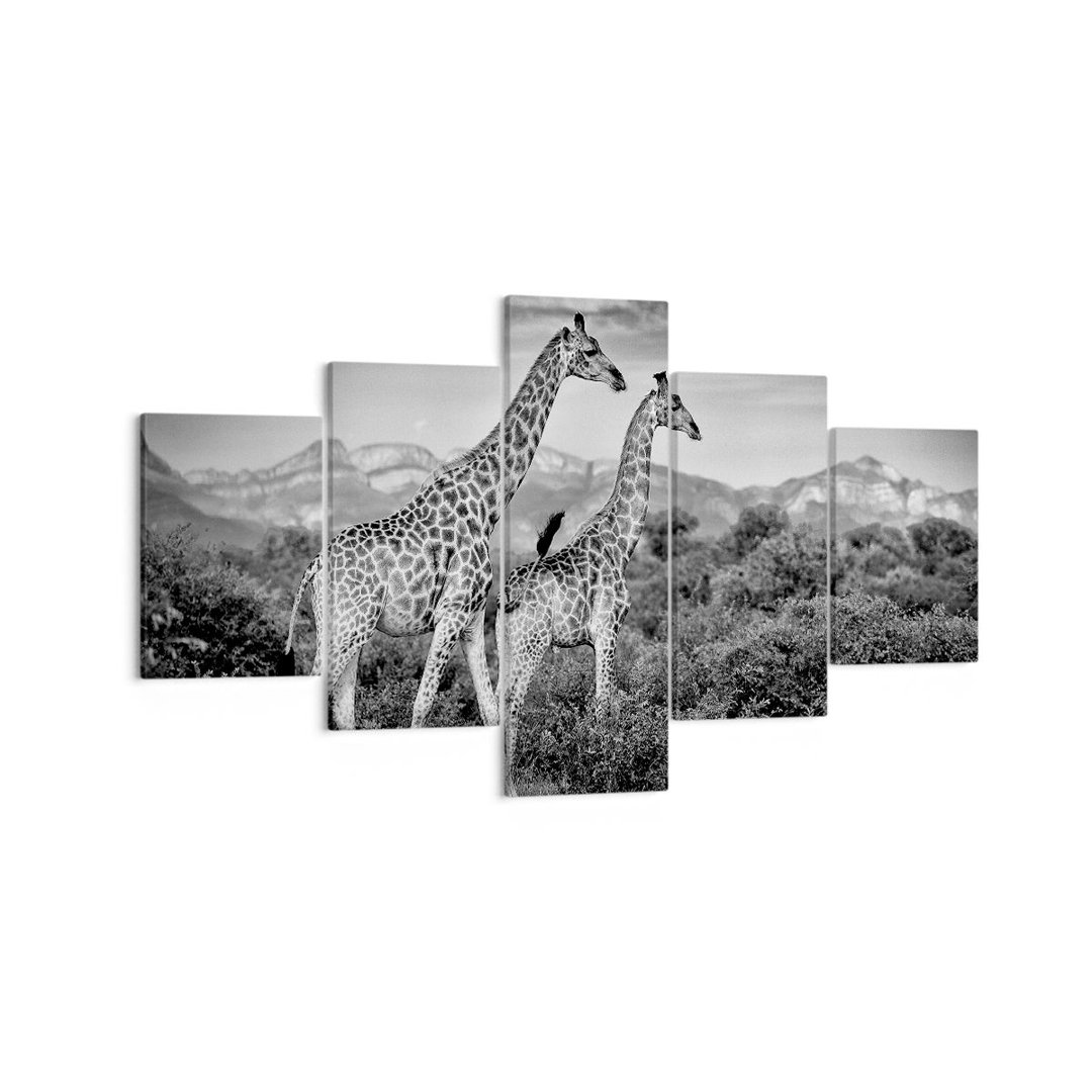 5-tlg. Leinwandbilder-Set Giraffes Black and White