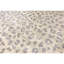 One-of-a-Kind 5'8" X 8'8" Area Rug