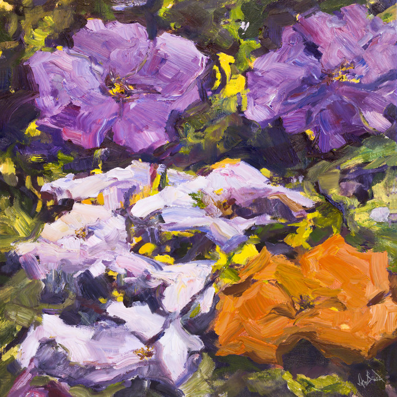 Pansies By John Beard - Gallery Wrapped Canvas Print, 22'' H x 22'' W x 3" D, Unframed