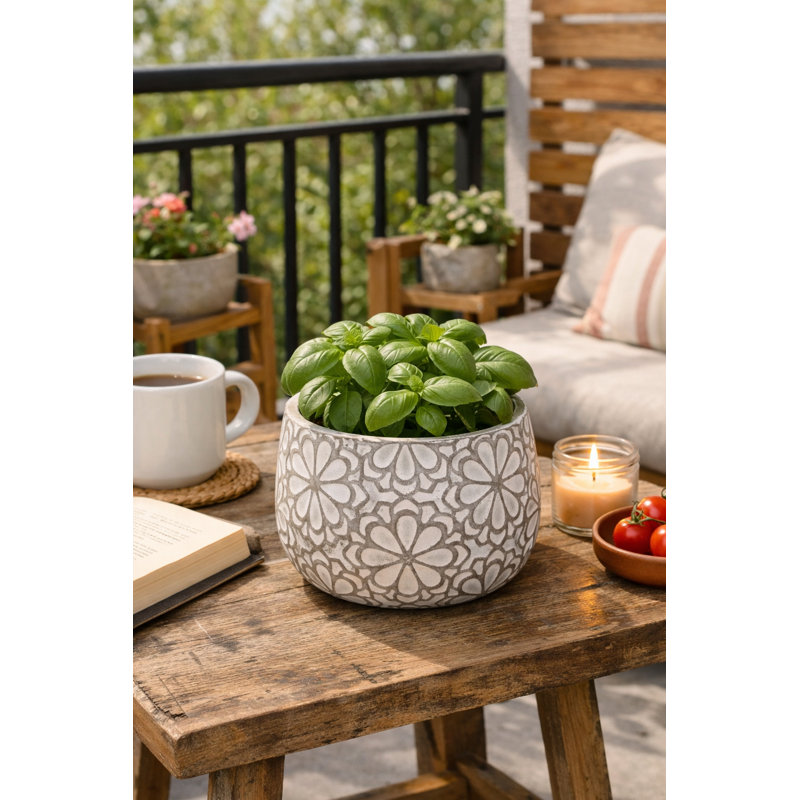 5.5 in. Marguerite Planter