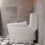 Toilette allongée une pièce Cannes 1,6 GPF