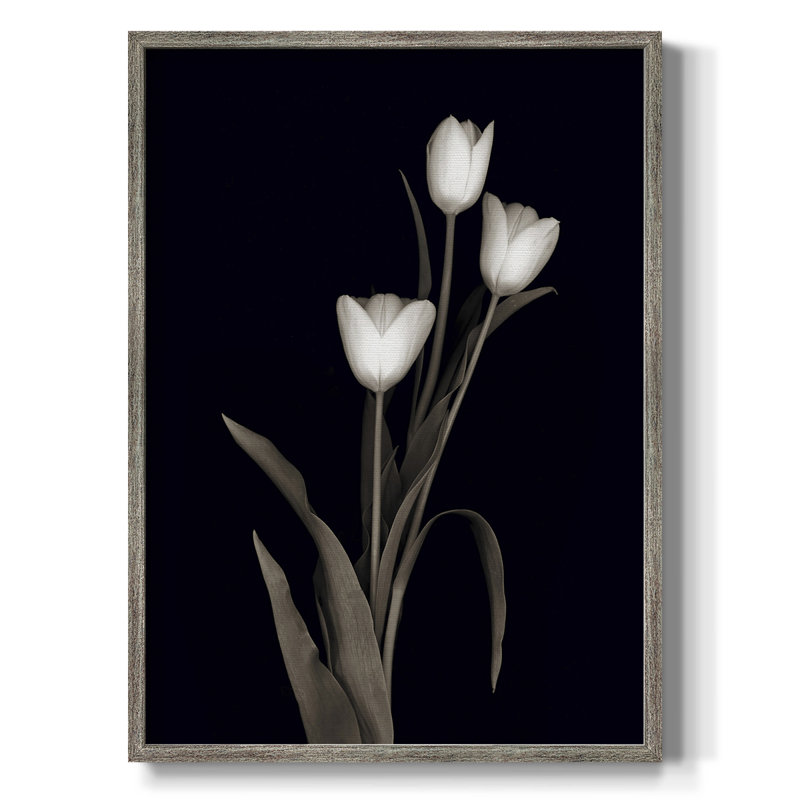 Tulip Pose I Framed Print - Solid Wood 48154, 11" H x 9" W