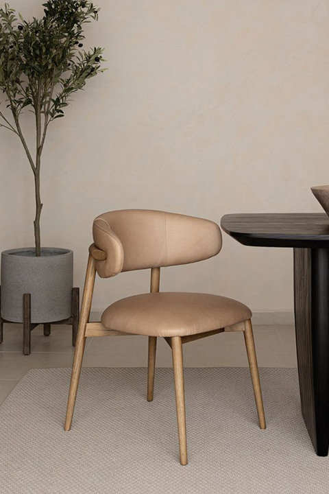 Dining Chairs