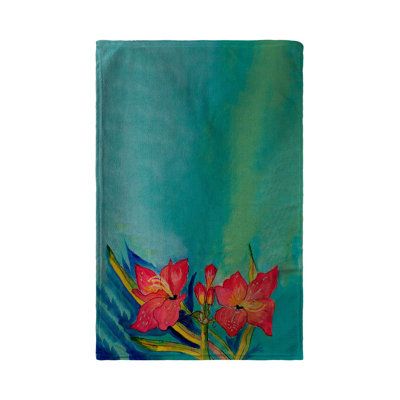 Dish Cloth Kitchen Towel